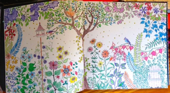 What I did during Hurricane Joaquin (pages from Secret Garden)